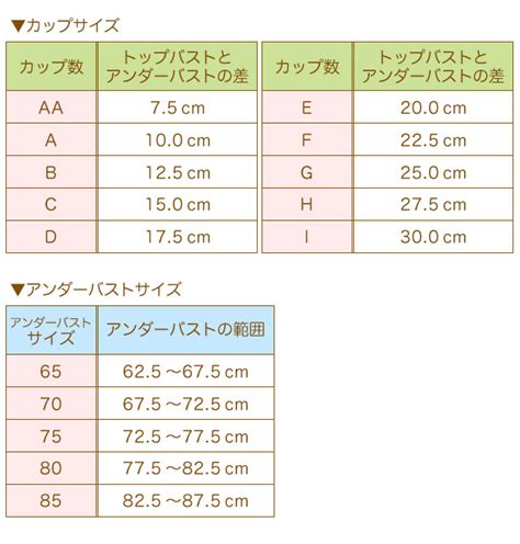 何 カップ から 巨乳|巨乳の基準はどこからなの？サイズの定義や巨乳のメリットも.